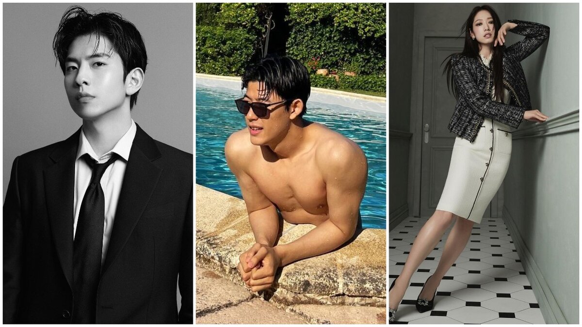 корейские видит