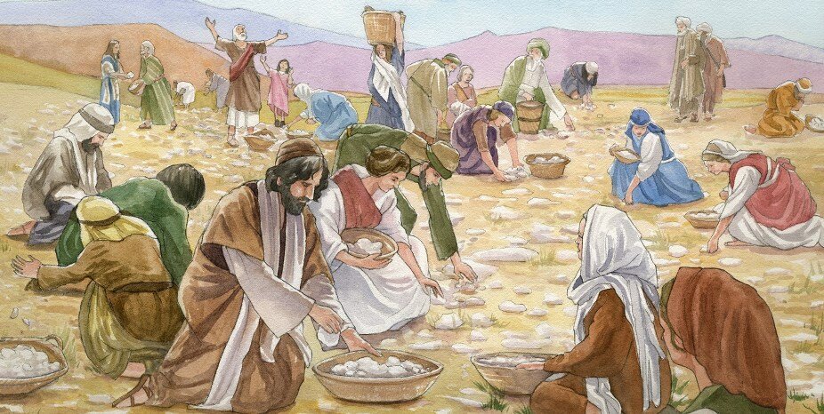 Манна небесная