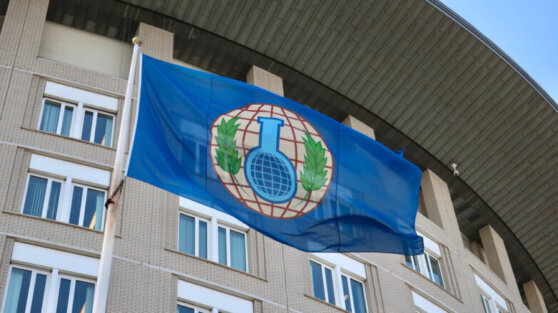    В ОЗХО сообщили, что все остававшиеся в мире заявленные запасы химоружия уничтожены Анна Белая