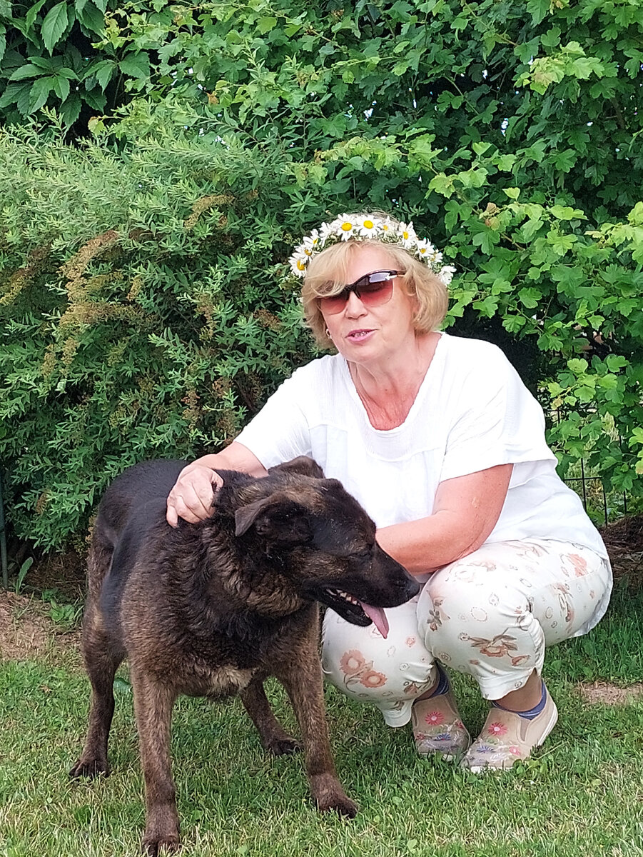 Моя верность