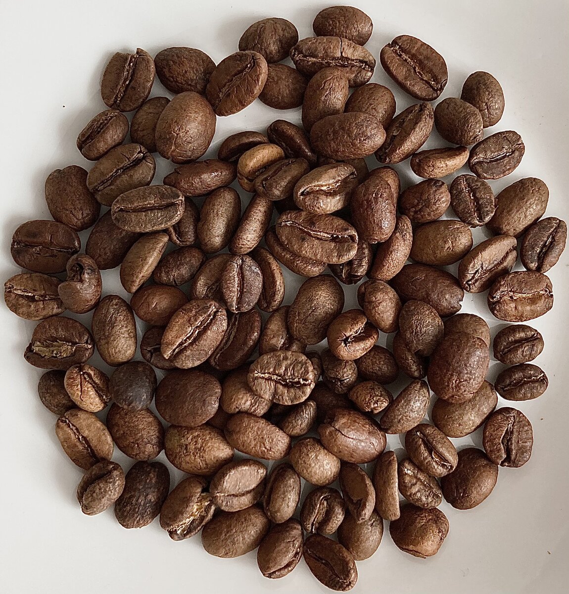 Зерно Кенийской разновидности SL-28 натуральной экспериментальной обработки*, собранные с деревьев, переданных Луису Калдерону компанией Cofinet. Эта разновидность была выведена компанией Scott Agricultural Laboratories в Кении, в 1930-х годах, откуда была распространена в другие африканские страны, а затем и в Латинскую Америку. Стоит отметить, что разновидность генетически происходит от бурбона, и имеет высокий вкусовой потенциал. Зерно само по себе довольно крупное, ровное, со следами ферментации - видна пигментация и неравномерность окраса. 