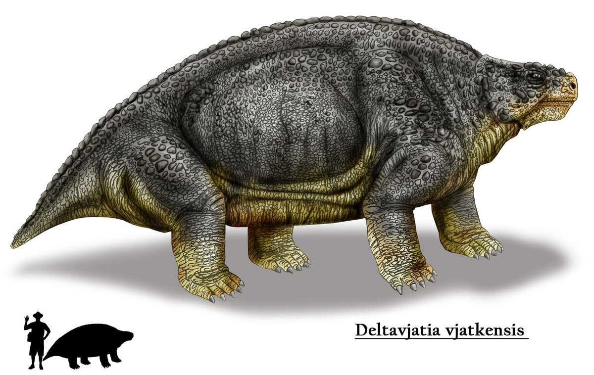   Karkemish / Wikimedia Commons