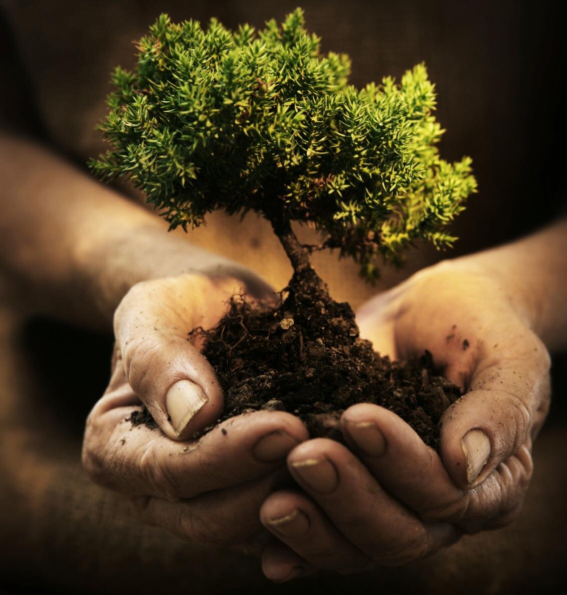 Вырастить с заботой человека, вырастить личность в человеке, а потом стать личностью, способной расти и развиваться - основная задача человечества!!! Это ключевой момент существования жизни и качества этой жизни для отдельного рода, общества, нации и человечества в целом!!!