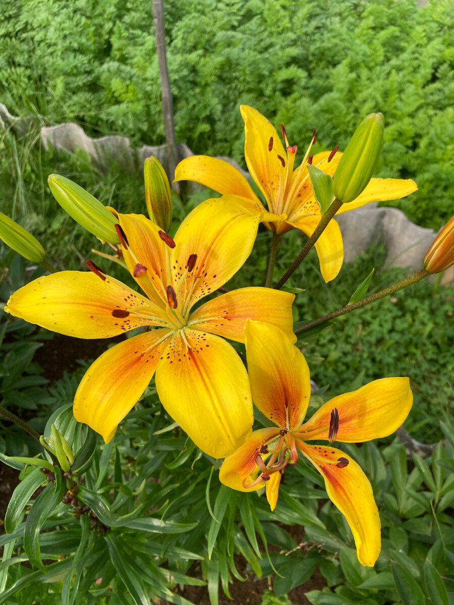 Фото для обложки, дальше пойдут реальные фото до ремонта, уже не такие красивые 😁