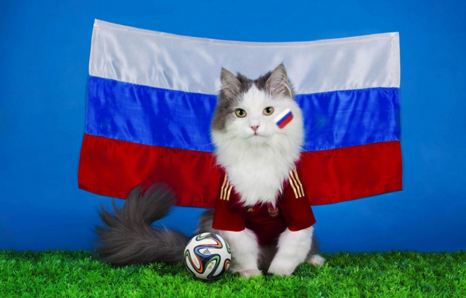 Для затравки