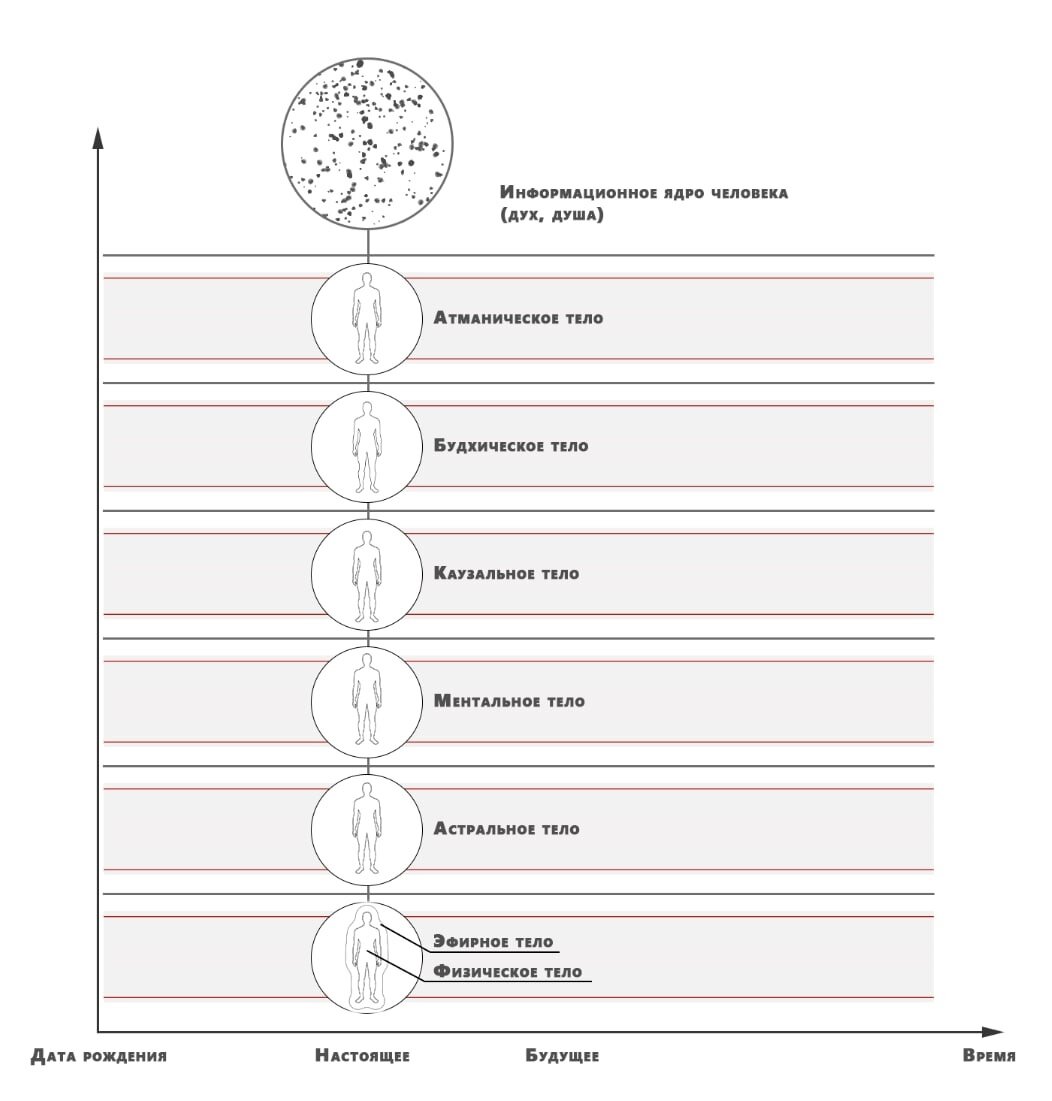 Устройство энергоинформационной структуры человека в текущем воплощении.