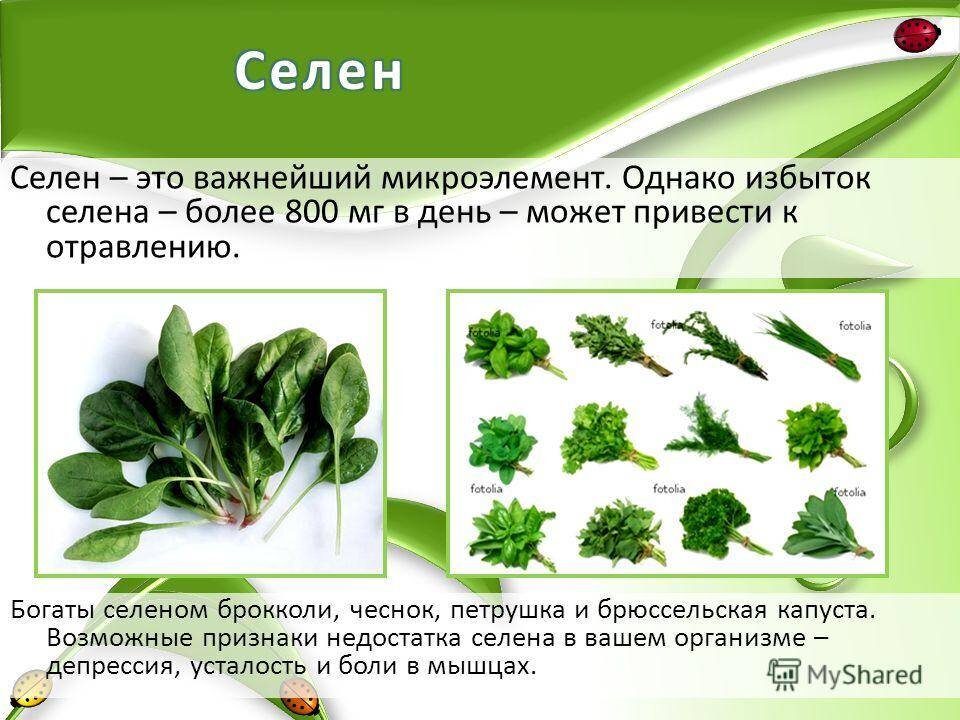 Селен что это такое и для чего. Селен избыток в организме.