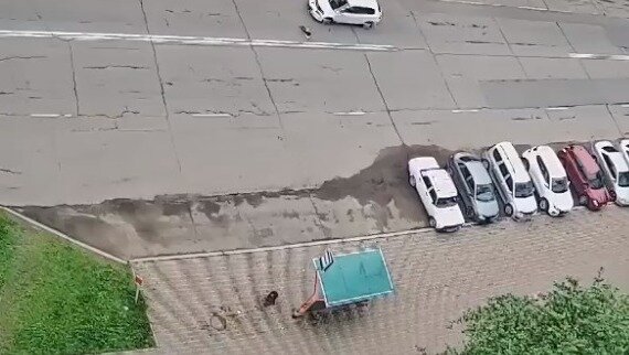     В Сосновоборске произошло ДТП, в котором пострадал ребенок.