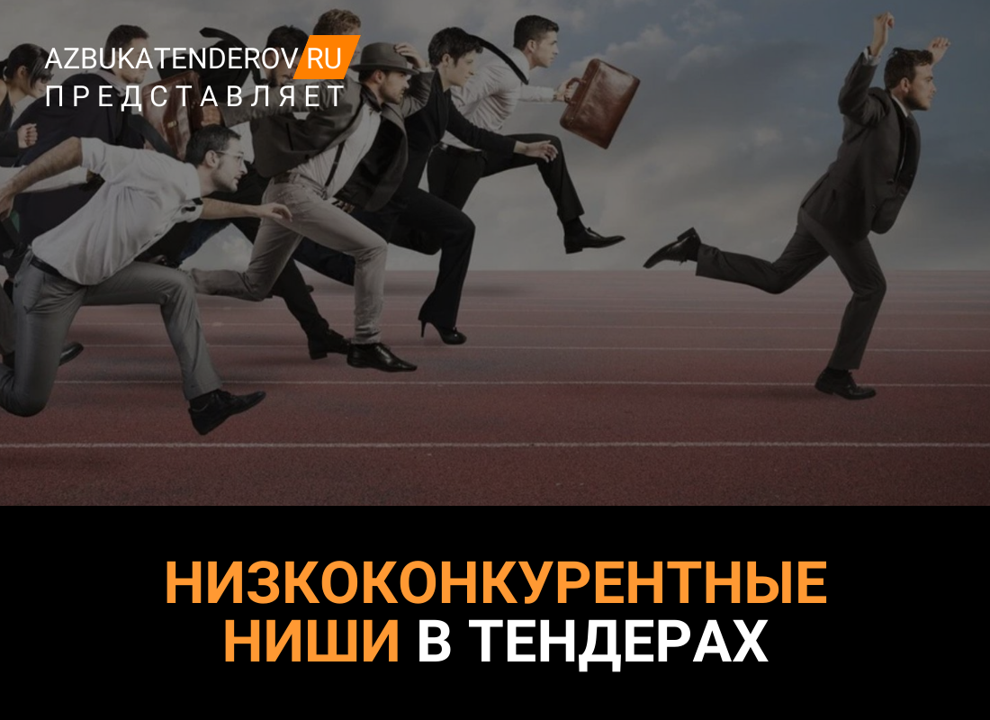 Низкоконкурентные ниши в тендерах: что это такое, как их искать и на что  стоит обращать внимание? | Азбука тендеров | Дзен