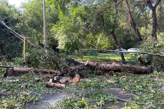 Фото: Абакан24 