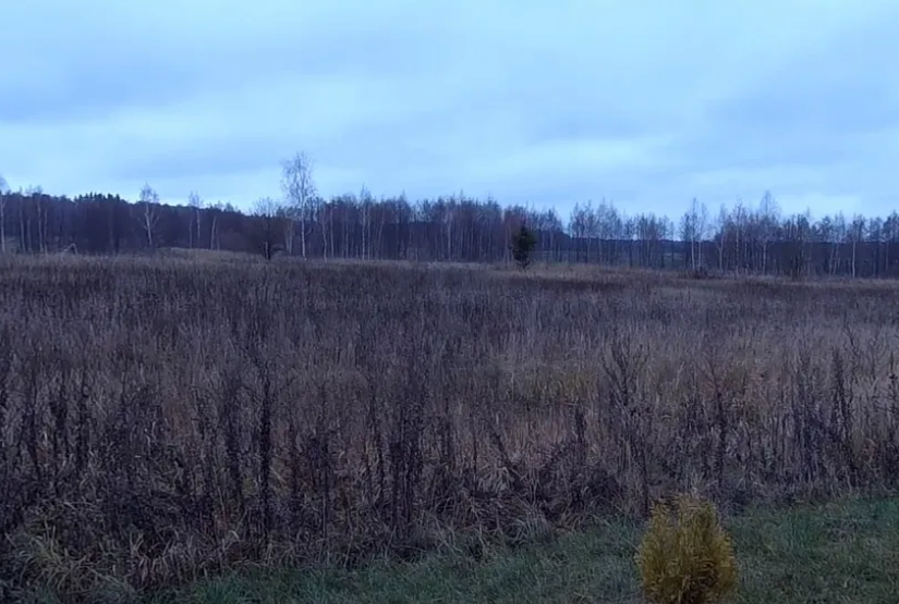 Малеево поле...