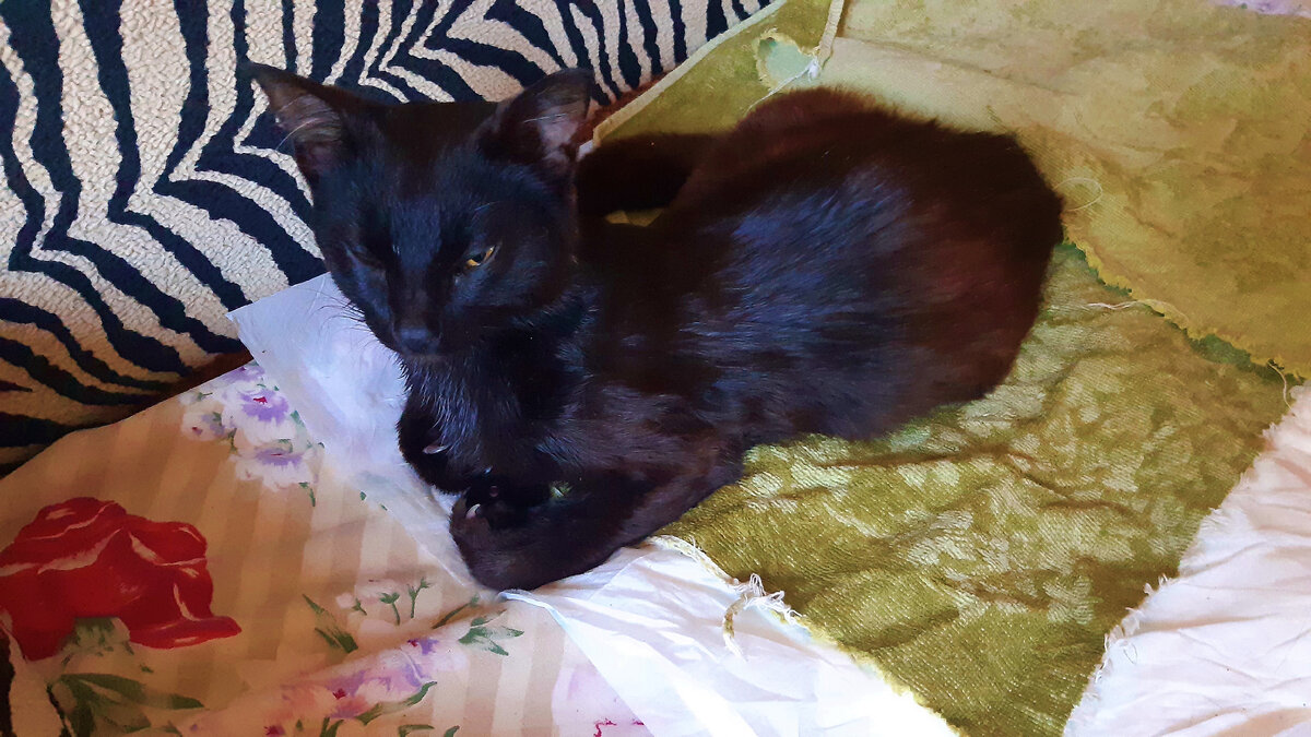 Уже больше сидит, чем лежит. Моя статуэточка любимая.