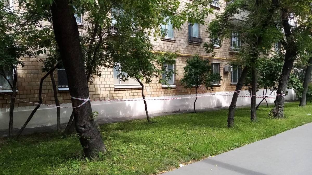    Фото: прокуратура Москвы