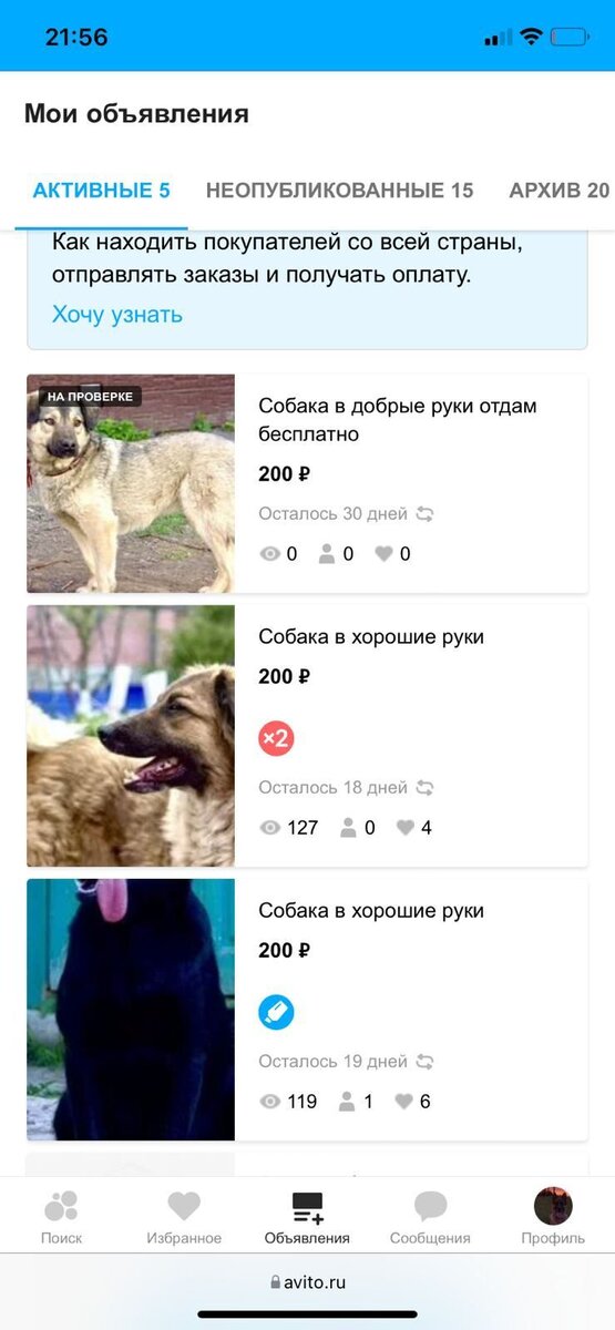 Друзья, пожалуйста, помогите оплатить передержку нашей четверки в ...