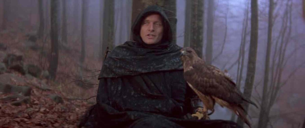 герр Хауэр тут в основном мордой торгует - особо играть ему нечего