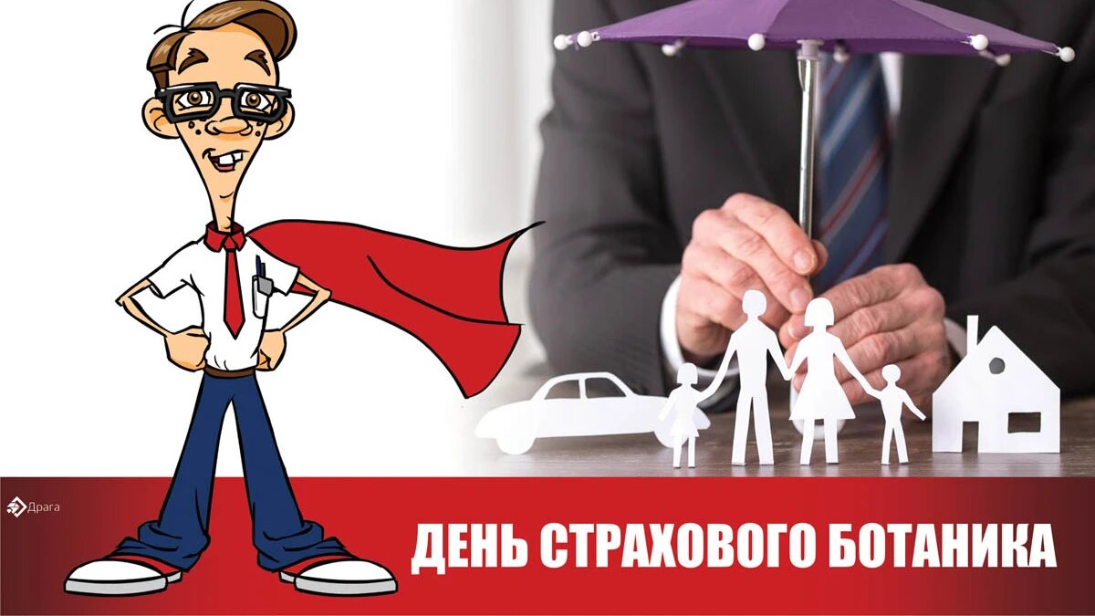 День страхового ботаника. Иллюстрация: «Курьер.Среда»