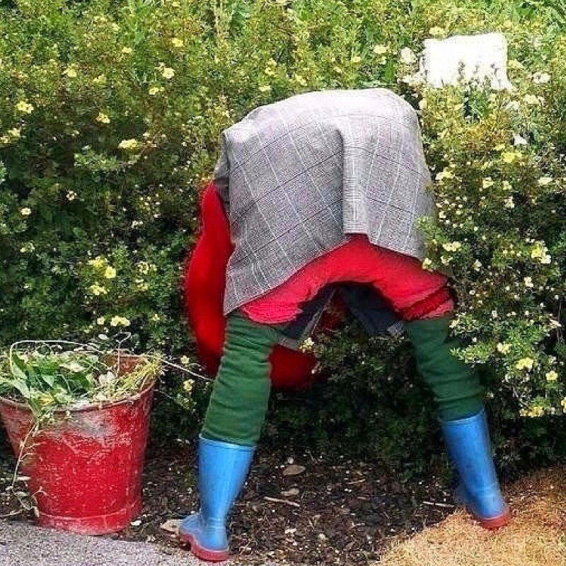 Забавное дачное фото из Интернета 