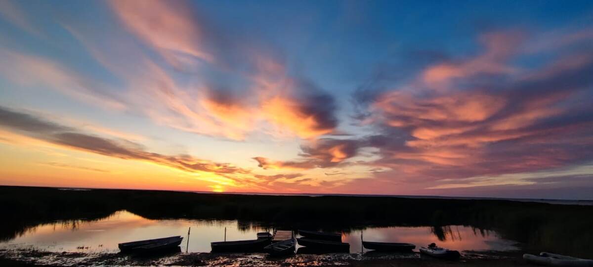 Как здорово иногда выбраться на природу. Это снимает усталость как рукой. 