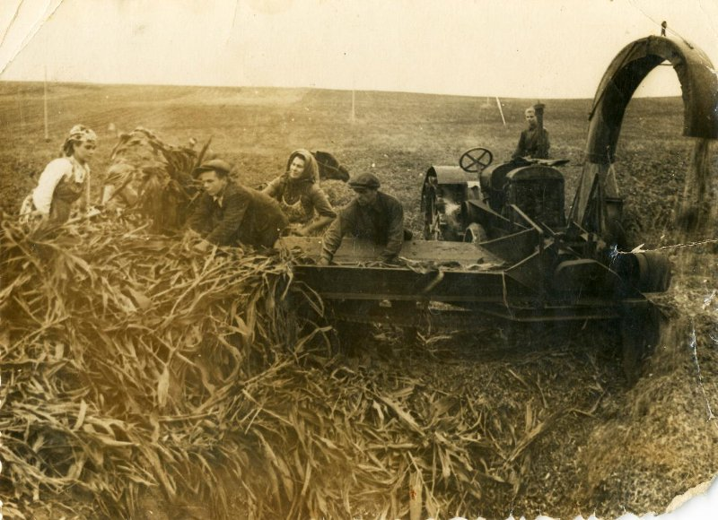 Колхоз имени ворошилова катравож. Колхоз им ворошилова. Спа «колхоз имени ворошилова». Колхоз имени ворошилова катравож. Фото полевой стан колхозной бригады.