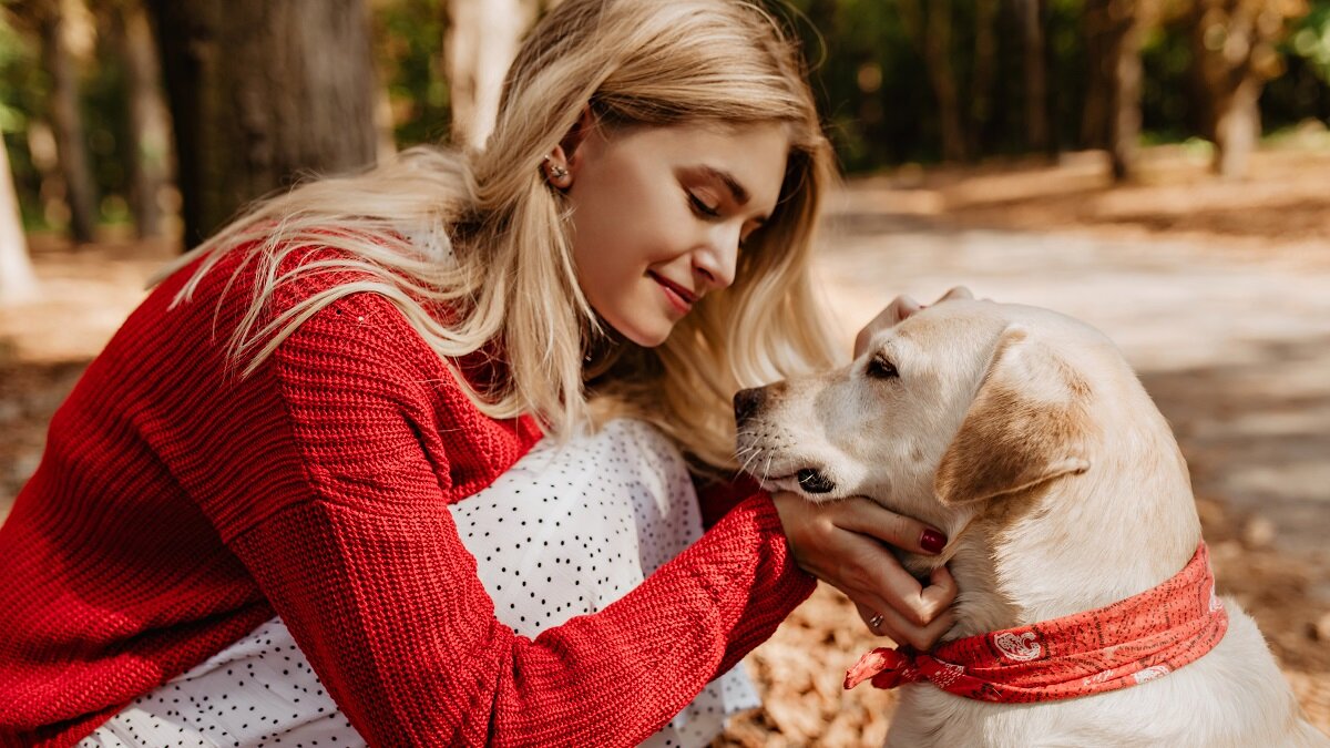    Собака и девушка