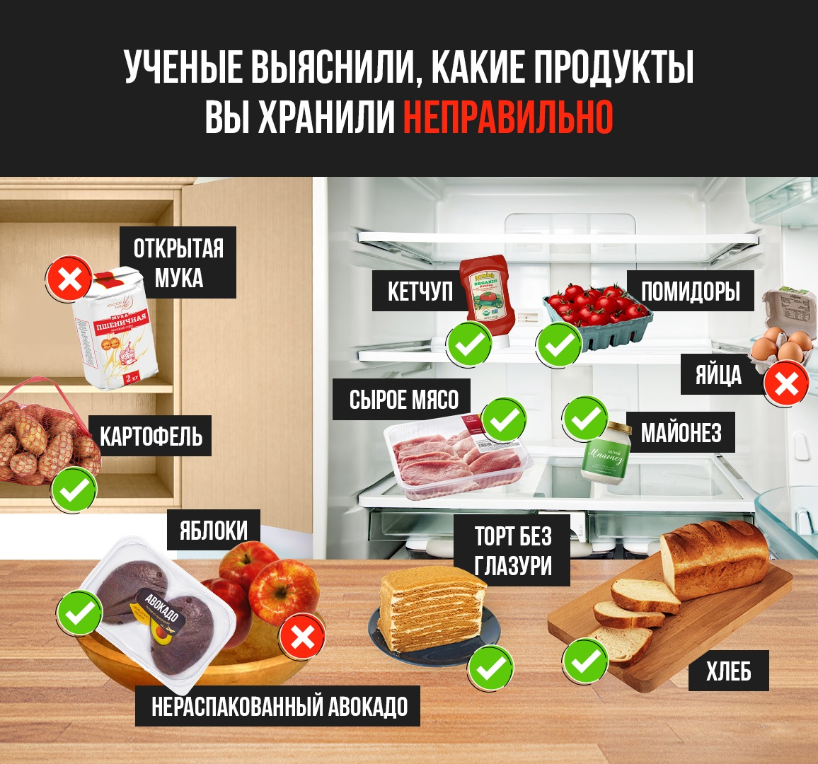 Холодильник или шкаф: где лучше хранить продукты? | Энергия из отходов |  Дзен