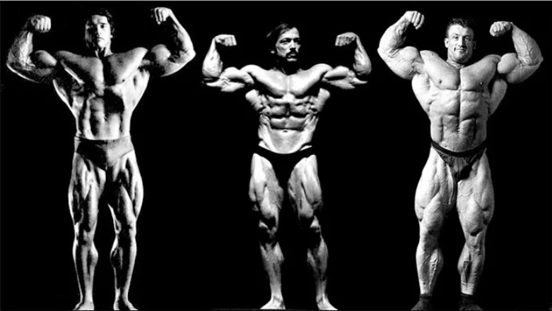 Посмотрите как бросается в глаза перевес Дориана Ятса (справа) в количестве мышечной массы. Очевидно, что Арнольд с его генетикой стал бы еще более огромным, тренируясь более продуктивным способом.