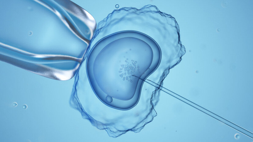   Gettyimages.ru SEBASTIAN KAULITZKI/SCIENCE PHOTO LIBRARY