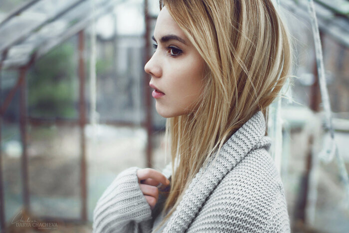 Яндекс.Картинки