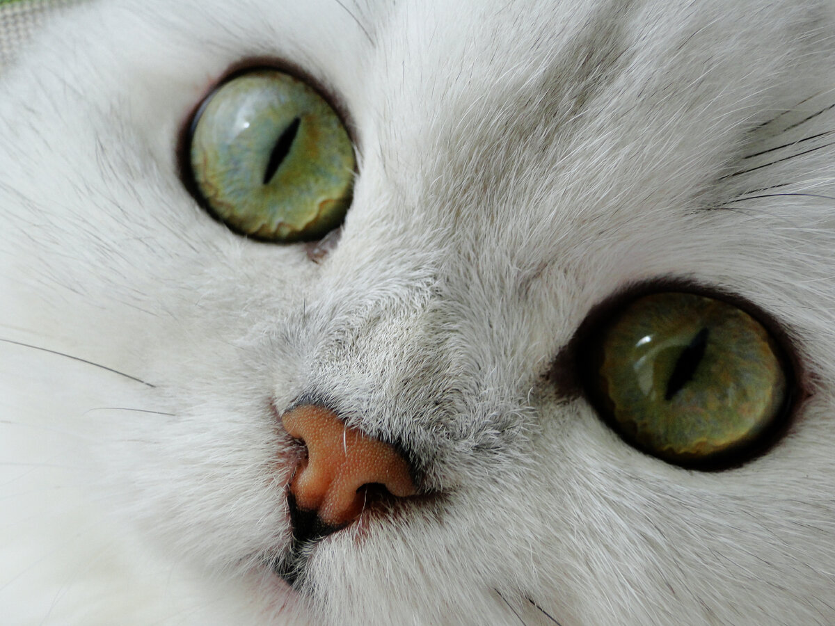 Это моя Касуми