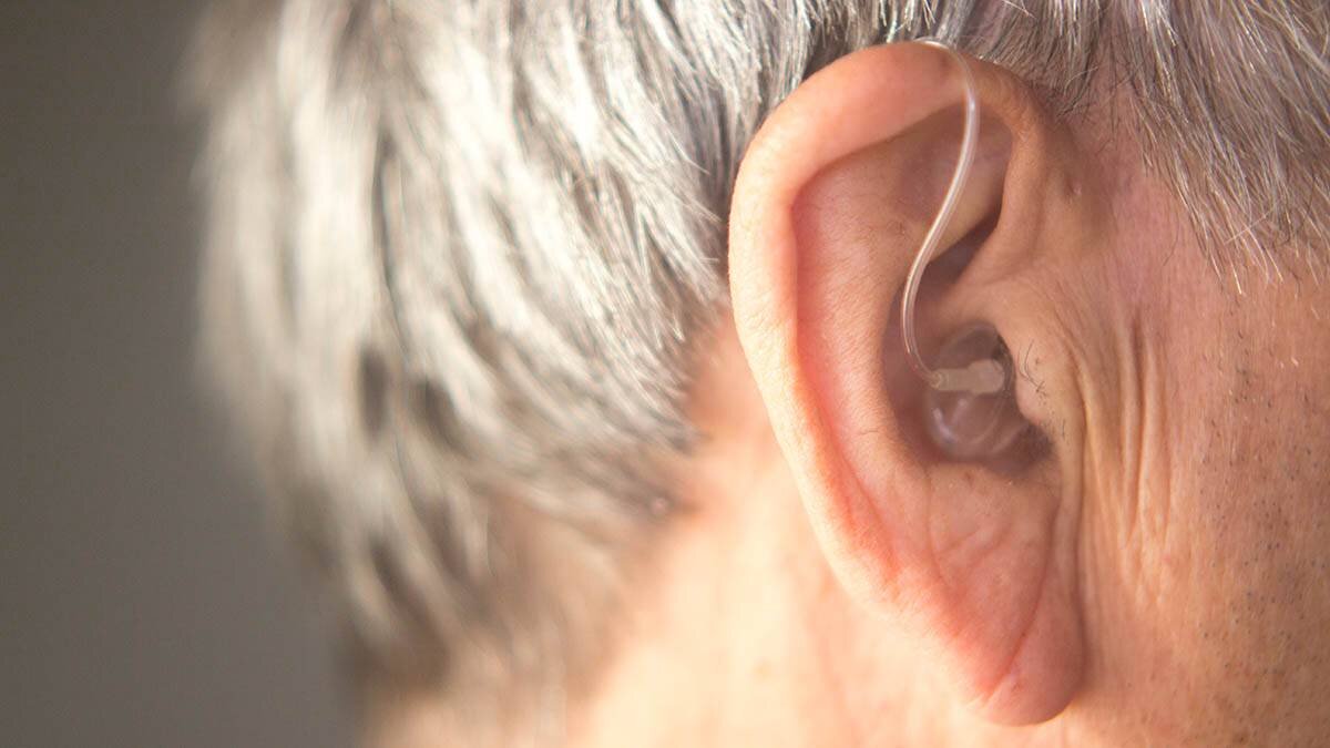    Фото: shutterstock