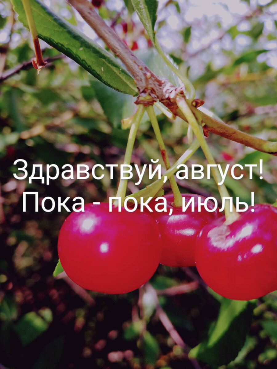 Какое совершенство природы!💯❤️