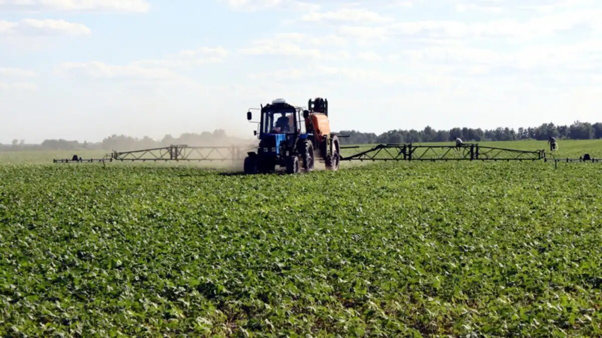 Фото:www.altairegion22.ru