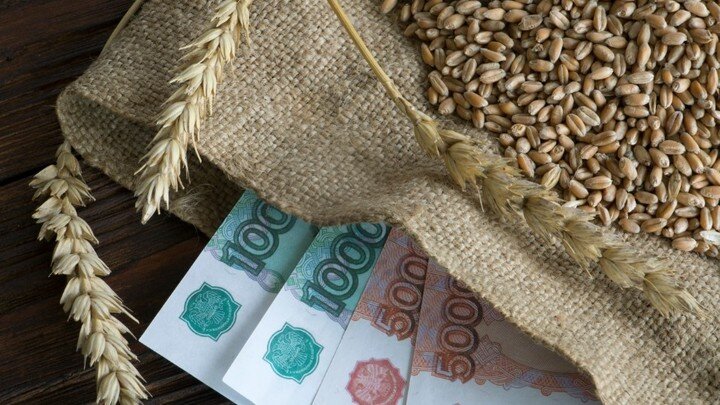 NIKOLAY GYNGAZOV/GLOBALLOOKPRESS