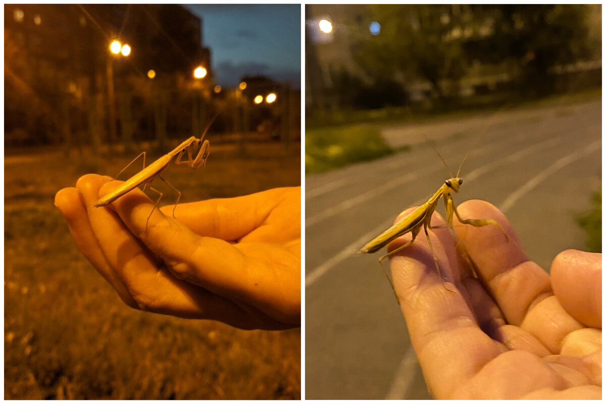  ФОТО: АЛЕКСЕЙ НЕКРАСИН/ПРЕДОСТАВЛЕНО САЙТУ ЦАРЬГРАД.  