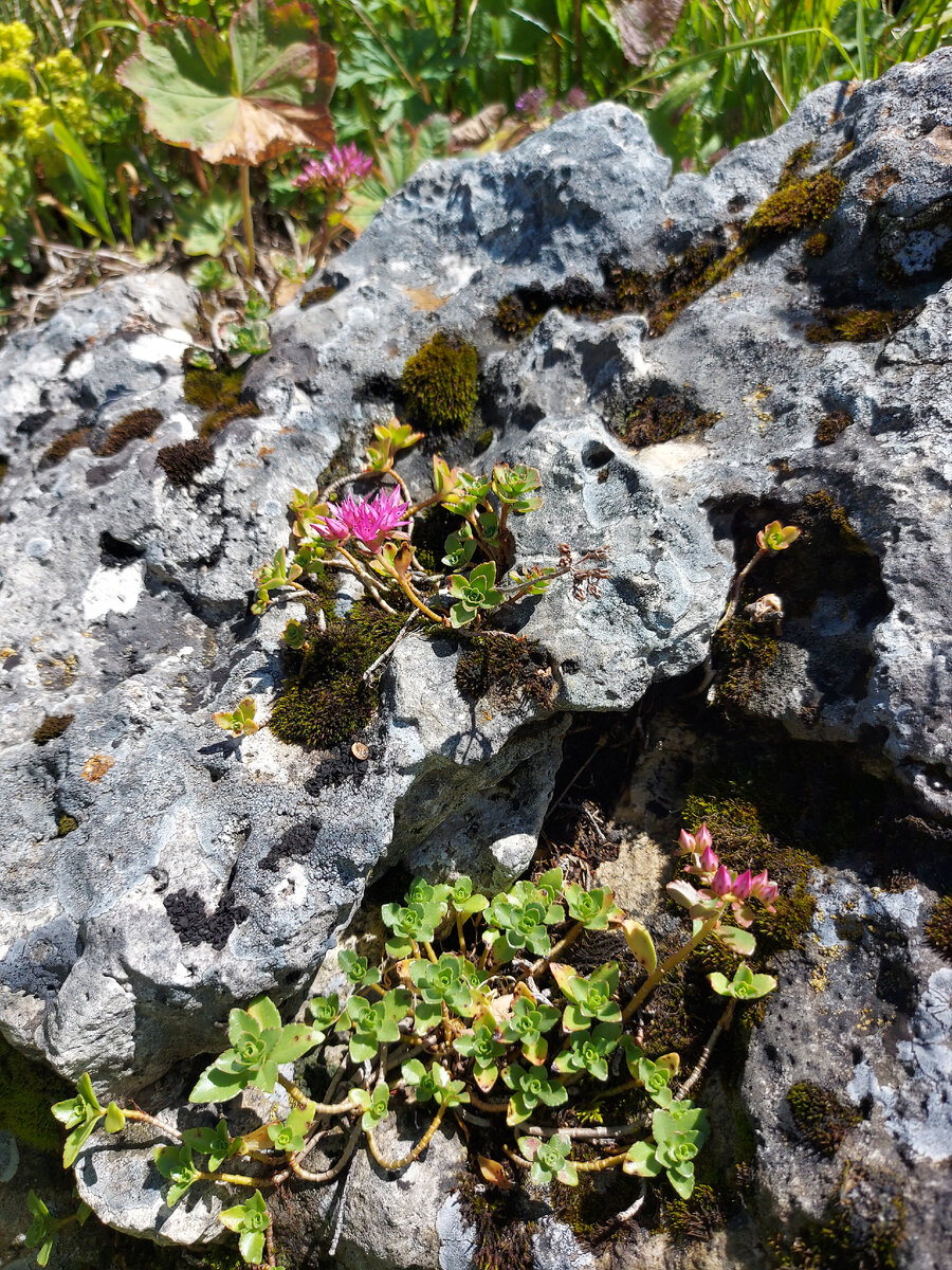На плато Лагонаки. Фото автора.