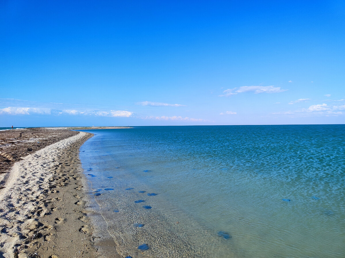 Нижнезаморское крым. Бакальская коса в Крыму. Крымские Мальдивы Бакальская коса. Бакальская бухта.