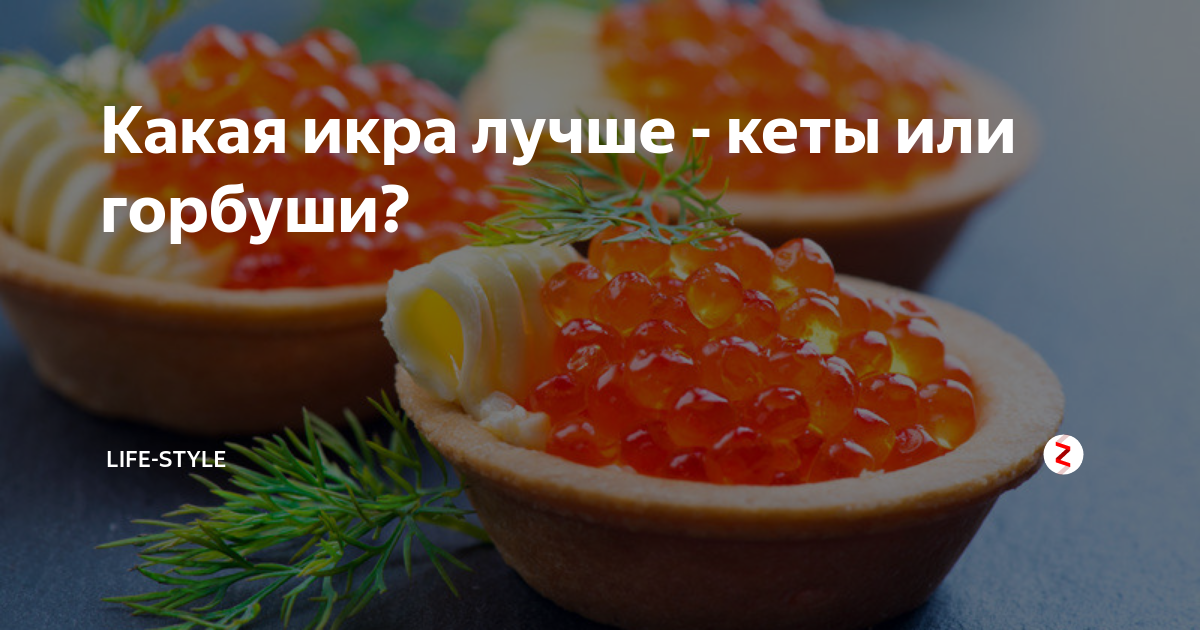 Какая икра вкуснее. Икра кеты или горбуши что лучше. Какая икра лучше кеты или горбуши. Икра кеты лучше или горбуши или Фореля?. Икра кета или горбуша что лучше.