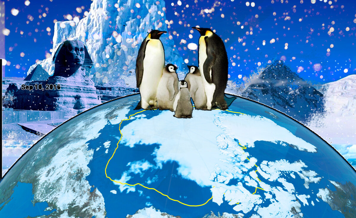 Антарктида картинки для детей дошкольного возраста