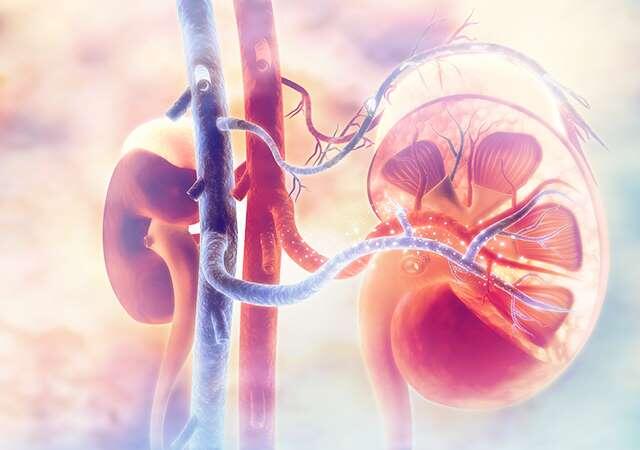 © Предоставлено: Rambler Internet Holding LLC