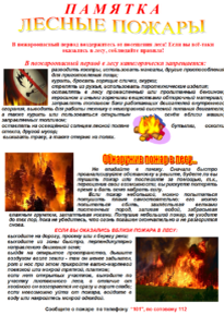 Основные причины возникновения лесных пожаров:
