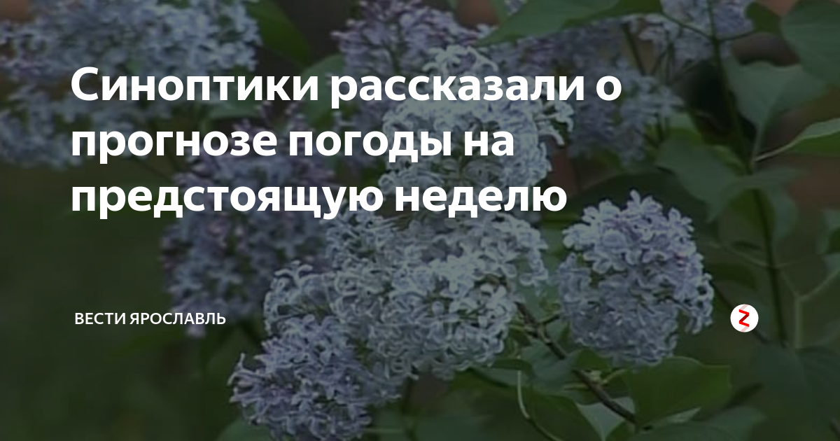 Синоптики рассказали о прогнозе погоды на предстоящую неделю | Вести ...