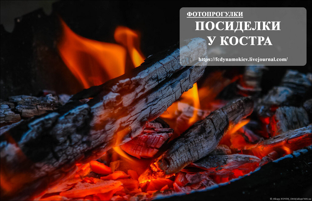  Правильно говорят люди , что на пламя костра можно смотреть вечно.

