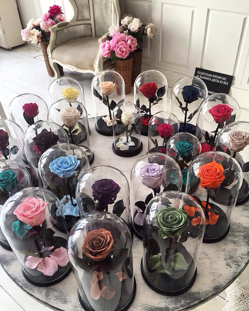 Роза в банке