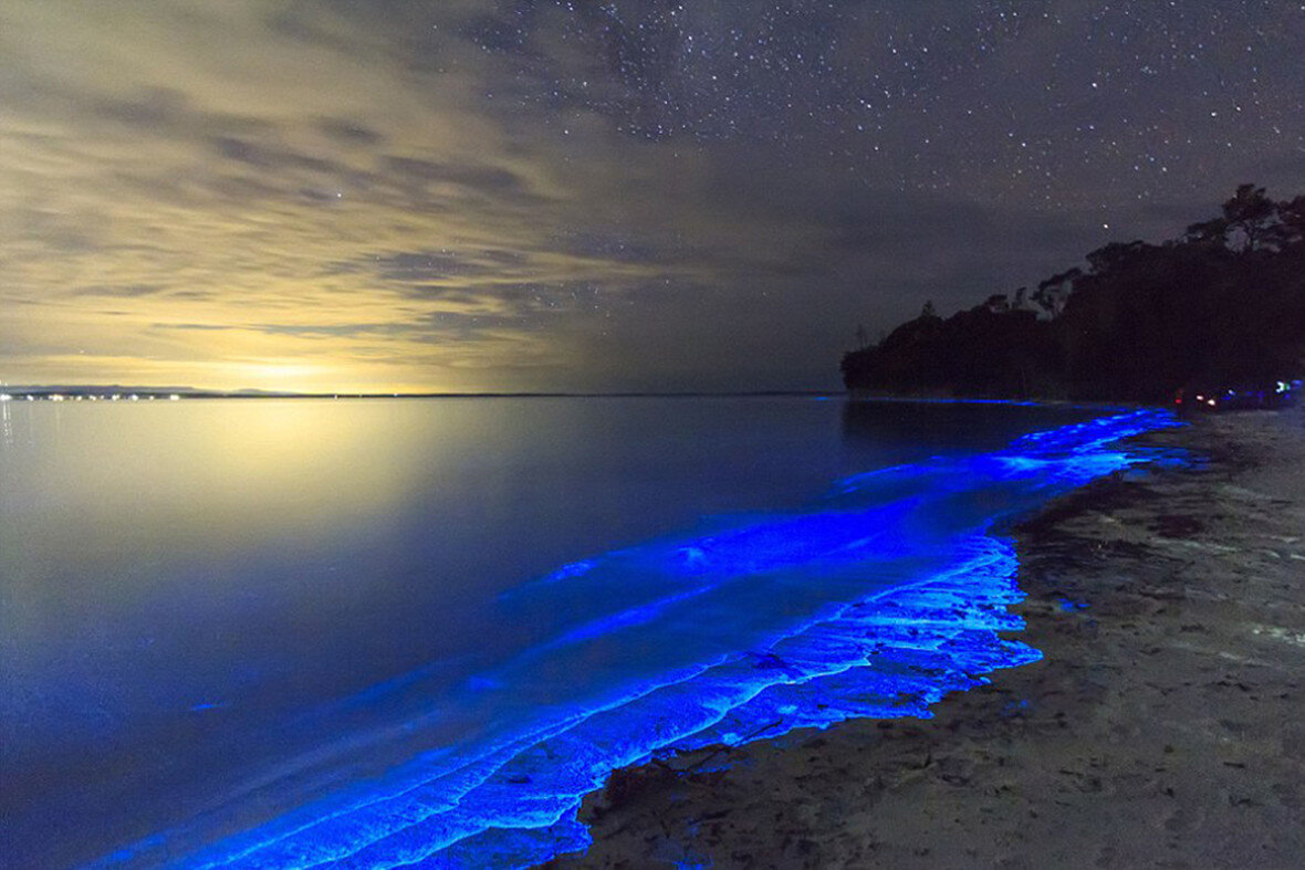 Светятся под водой. Остров Ваадху Мальдивы. Мыс Меганом светящийся планктон. Ночесветка в черном море. Светящийся планктон в черном море.
