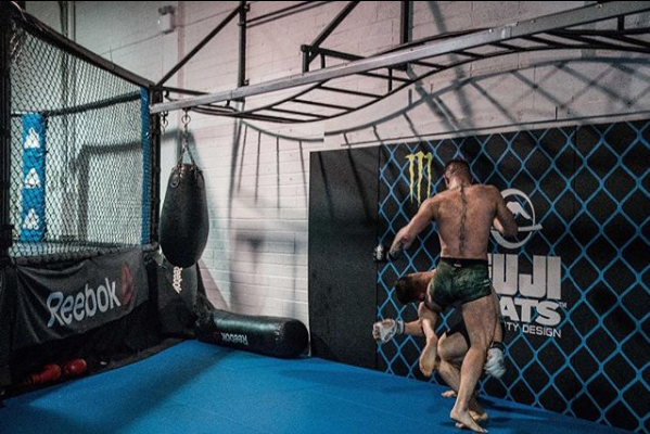 На данный момент ирландец прекратил свои тренировки перед боем с Россиянином - Хабибом Нурмагомедовым, так как отправился на свою родину и пробудит там по крайней мере около двух недель, также он сообщает, что борьба для него больше не проблема и он готов к любой хитрости Хабиба.