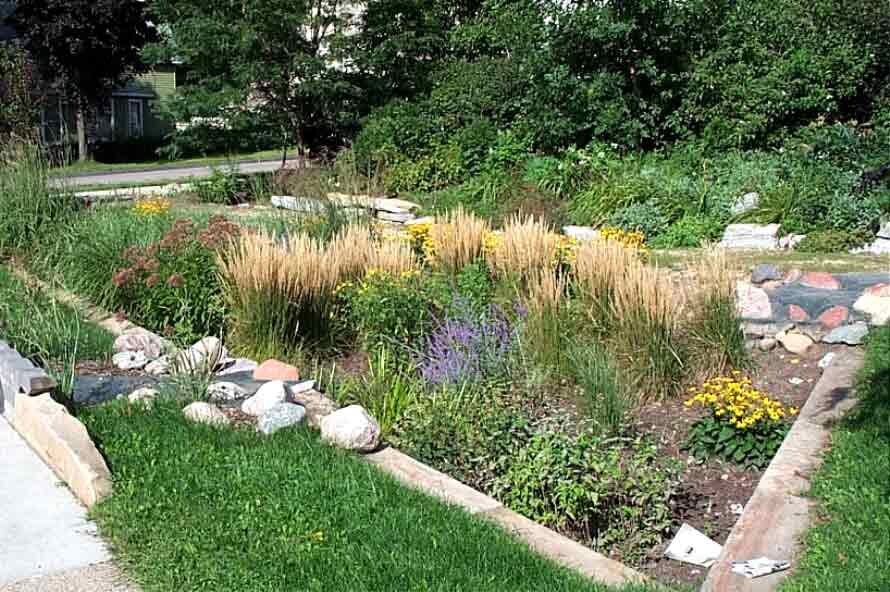 Источник изображения: grecolandscaping.com
