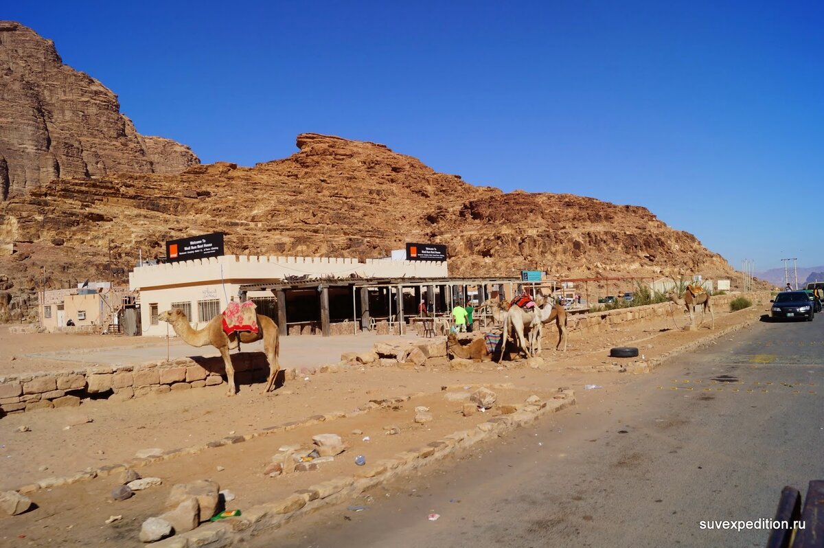 Que hacer en wadi rum