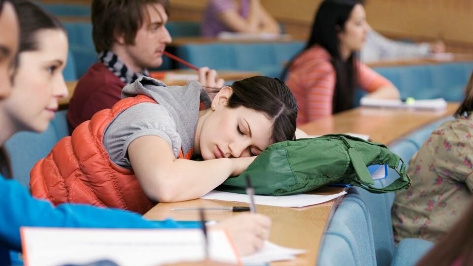 Учеба. Молодые студентки занимаются. Девушка на учебе. Просто студентка. Чем занимаются студентки.