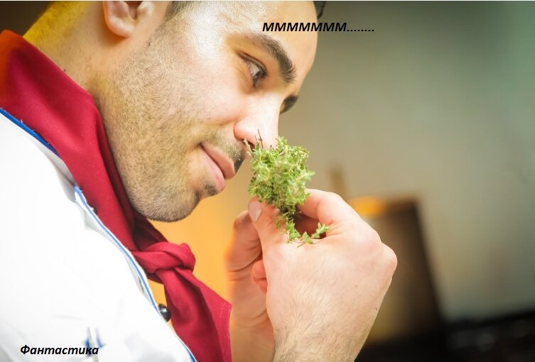 источник фото https://pixabay.com