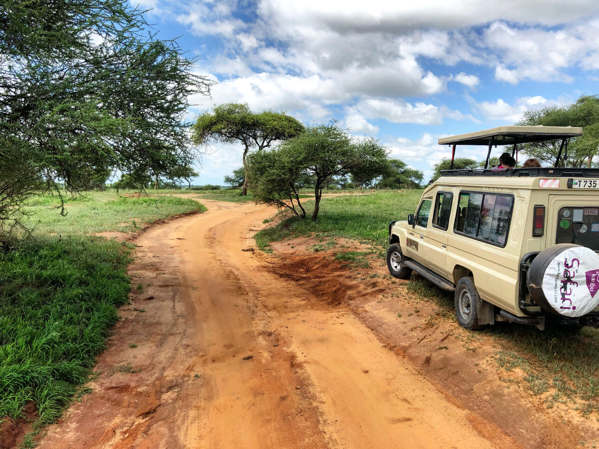 Теренгири - январь 2019